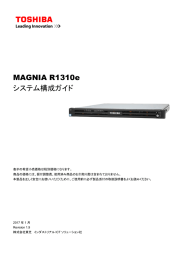 MAGNIA R1310e