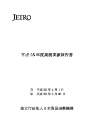 平成 25 年度業務実績報告書