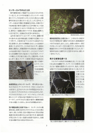 ていました。 が、カメラが高価だったり、センサーの設 置にテクニックが