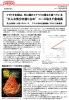 詳しくはPDF版をご参照ください