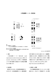 過剰マーカー染色体