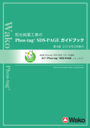 Phos-tag® SDS-PAGE ガイドブック