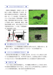 どのような牛が使えるの？ 肉用牛の繁殖雌牛（妊娠 3 ヶ月～分 娩 2 ヶ月