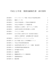 平成22年度 業務実績報告書 添付資料