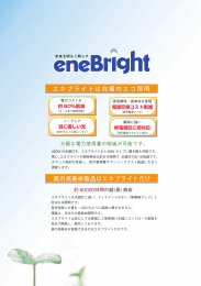 エネブライトは究極のエコ照明 真の高寿命製品はエネブライトだけ