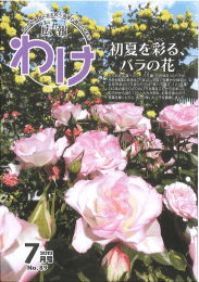 平成25年広報わけ7月号