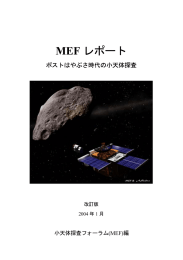 MEF Report ver2