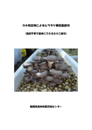 カキ剪定枝によるヒラタケ無殺菌栽培（施設不要で簡単にできるきのこ