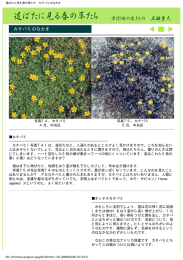 このページのPDFファイル
