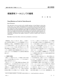 視覚研究ツールとしての錯視