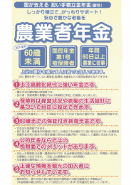 国が支える 担い手積立金年金(称)