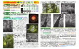 北殿駅前新聞9月号 発行