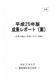 平成25年版成果レポート（案）1