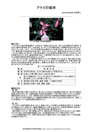 アケビの栽培