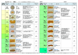 ダウンロード - 石川県栄養士会