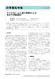 マイクロビーム X 線小角散乱による 高分子の構造解析