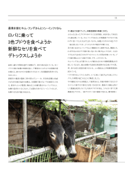 始興市情報誌3-3（PDF形式 2713キロバイト）