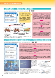 ダイオウイカ等の中深層性大型頭足類とマッコウクジラの共進化的行動