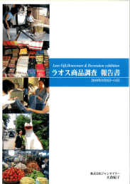 Page 1 Page 2 ラオス企業 評価報告 2009年の9月以来、ちょうどー年