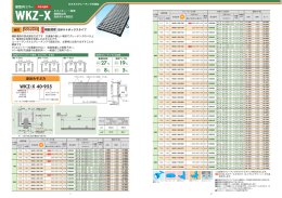 WKZ-X 40-955