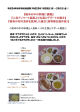 普通食写真付き献立（pdf 527KB）