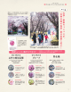 大 学 ・ 新 座 キ ャ ン パ ス が 、 「 大 学 の 桜 の 名 所 」 東 日 本 第 1位