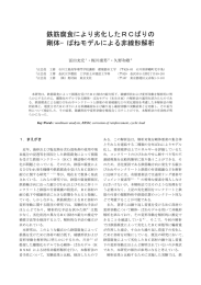 鉄筋腐食により劣化したRCばりの 剛体&minus;ばねモデルによる非線形解析