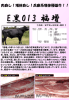 「E黒013 福増」 兵庫系増体種雄牛 子牛市場で再注目！！