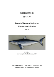 板鰓類研究会報 第44号 Report of Japanese