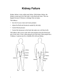 Kidney Failure - Japanese - Health Information Translations