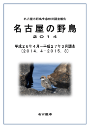 名古屋の野鳥2014