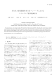 双方向大容量絶縁型 DC-AC コンバータにおける