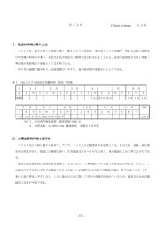 125 ケイトウ