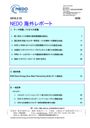 全文（1384KB） - 新エネルギー・産業技術総合開発機構