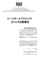 pdf:9 MB ピースボール2012簡易報告書