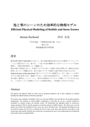 Efficient Physical Modeling of Bubble and Snow