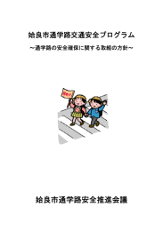 姶良市通学路交通安全プログラム（PDF：231KB）