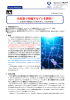 プレスリリースの全文を閲覧する（PDF4頁