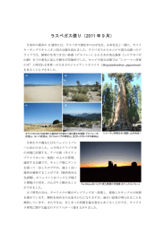 ラスベガス便り（2011 年 9 月）