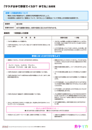 「サラダはゆで野菜でイカが？ ゆでる」指導案