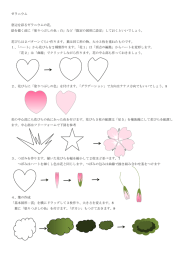 ゼラニウム 窓辺を彩るゼラニウムの花。 絵を描く前に「塗りつぶしの色：白