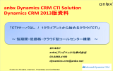 anbx Dynamics CRM CTI Solution