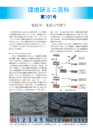 化石って何？