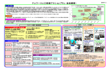 テレワーク人口倍増アクションプラン（全体概要）（平成19年5月29日