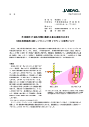 再生医療用iPS細胞の培養に最適な足場材の製造方法