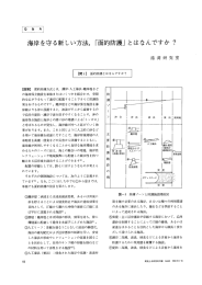 本文表示