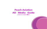 2014.4 - Peach Aviation