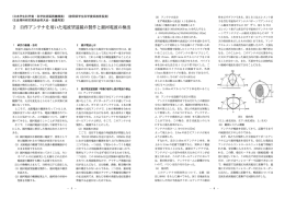 2 自作アンテナを用いた電波望遠鏡の製作と銀河電波の検出