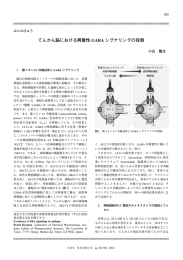 てんかん脳における興奮性 GABA シグナリングの役割
