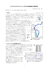 カンボジアにおけるコルマタージュの持つ洪水緩和機能の定量的評価